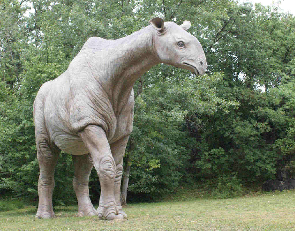 paraceratherium-statue-5820747273.jpg