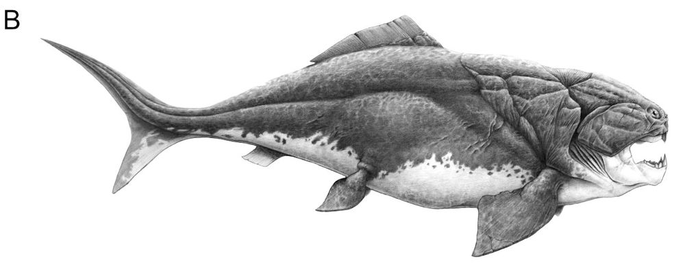 Figure from Xing et al, 2017 - showing a reconstruction of Edmontosaurus regalis.