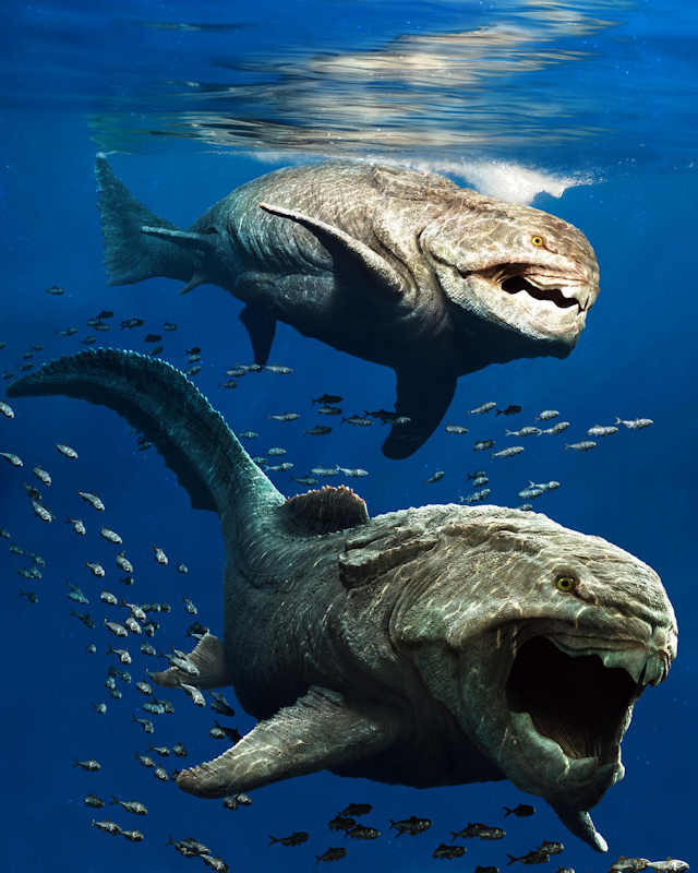 Rendering of a Dunkleosteus terrelli by Julian Johnson-Mortimer - CC BY 3.0