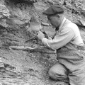 Bungart removing Titanichthys bone from Cleveland Shale, Big Creek, Cleveland. - Hyde Collection