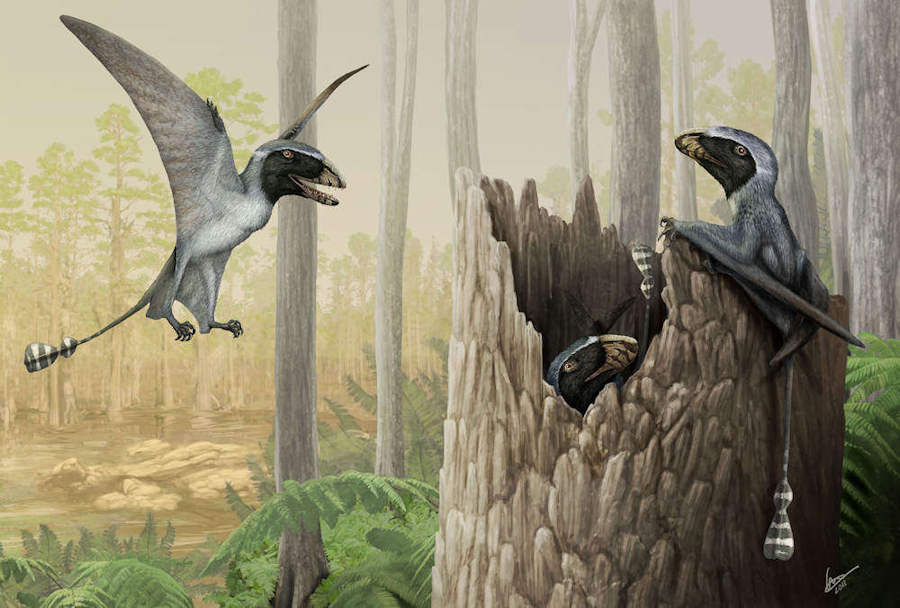 A mob of Dimorphodon, an early Jurassic pterosaur. Digital painting by Gabriel Ugueto.