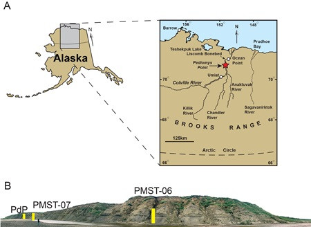 Figure 1 from Chiarenza et al. 2020 showing the Locality map (A) of Pediomys point (red star) in the North Slope of Alaska, USA.