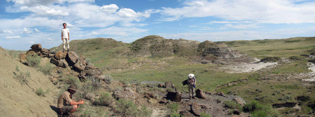 All of the specimens were collected from the prairie badlands of eastern Montana, USA.