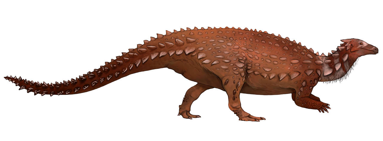 A reconstruction of Scelidosaurus harrisonii by Jack Mayer Wood showing a bipedal stance as evidenced by the Holy Cross Mountain trackways. (CC BY-SA 4.0)
