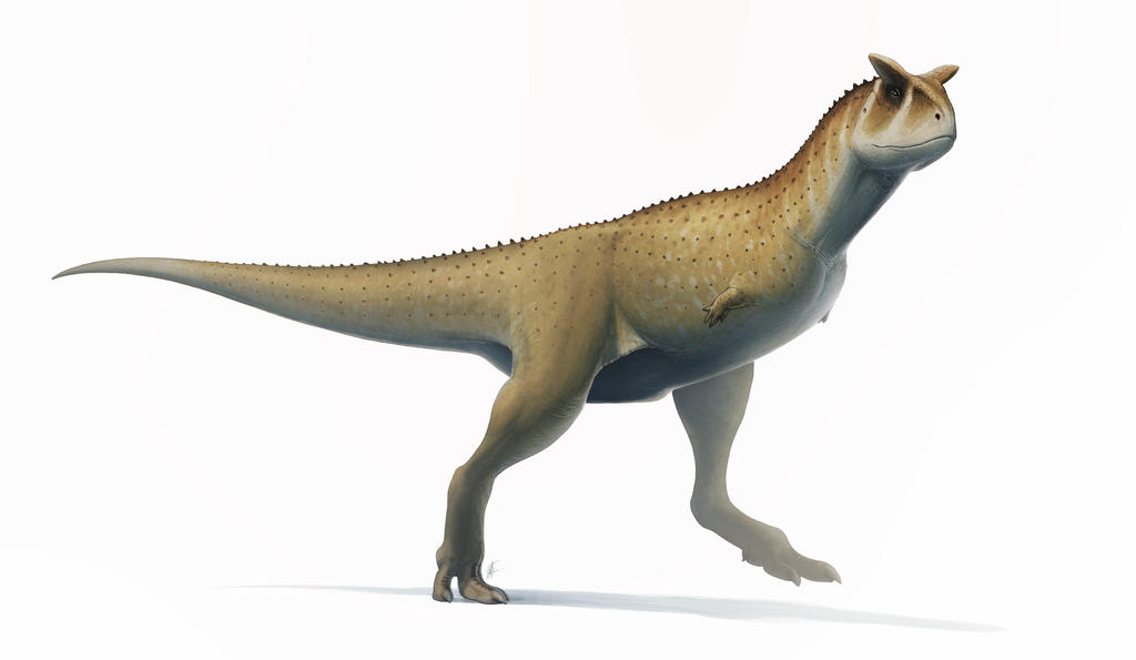 Illustration of Carnotaurus, another species of Abelisaur. Image credit: Fred Wierum (CC BY-SA 4.0)