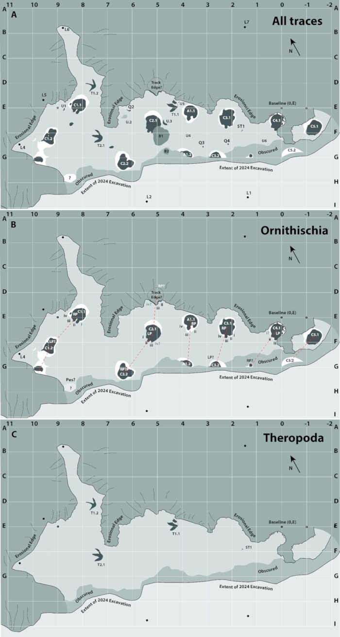 Figure 2 from (Bell et al, 2025) showing a map of the tracksite with the dinosuar prints. CC BY 4.0