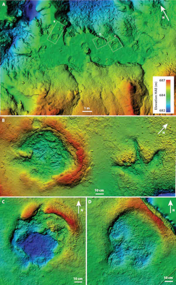 Figure 5 from (Bell et al, 2025) showing and elevation model of the different types of dinosaur tracks. CC BY 4.0