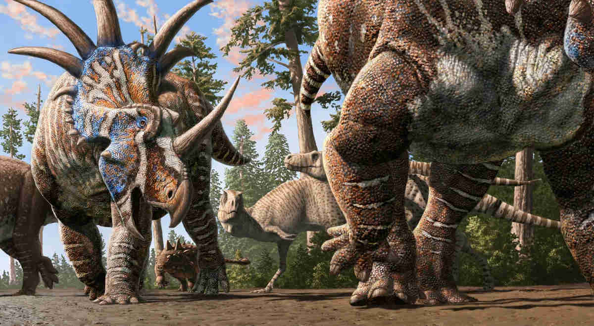 Artwork of the of the mixed-species herd -  Artwork by Julius Csotonyi