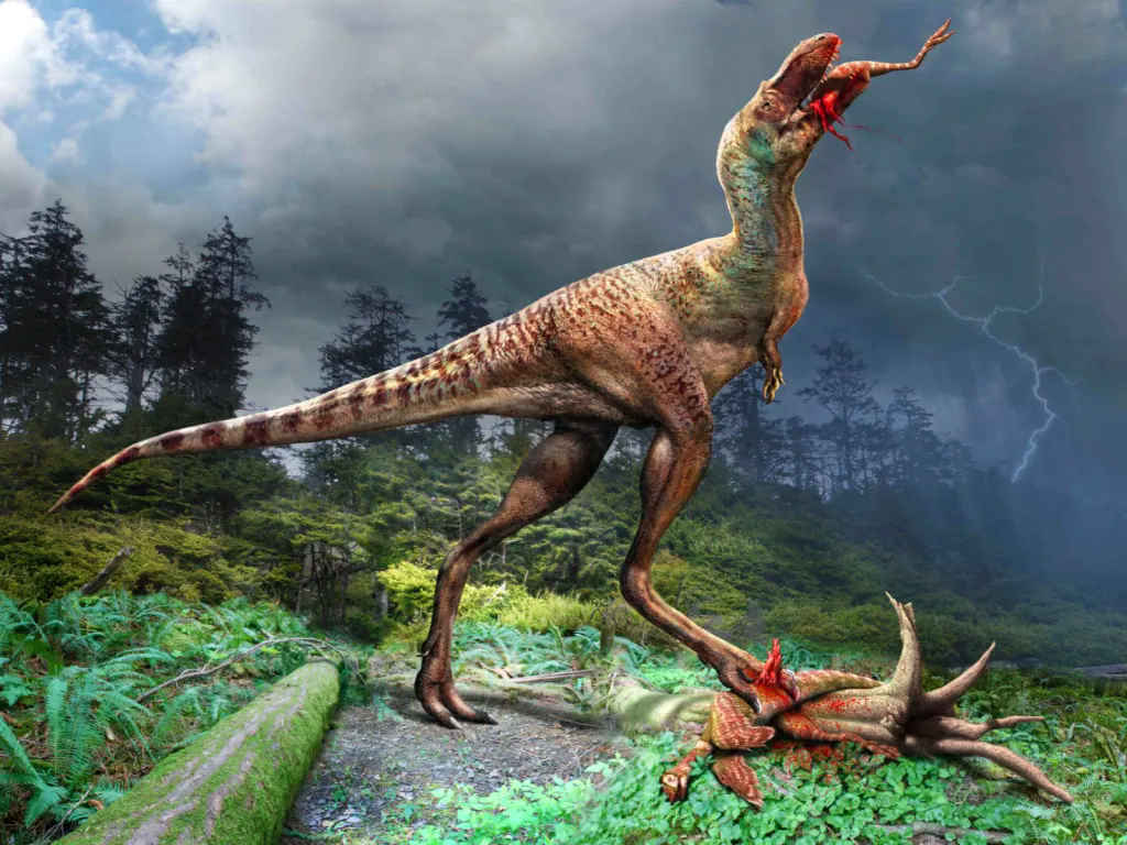 Gorgosaurus libratus feeding on Citipes elegans. Illustration by Julius Csotonyi (C) Royal Tyrrell Museum of Palaeontology.
