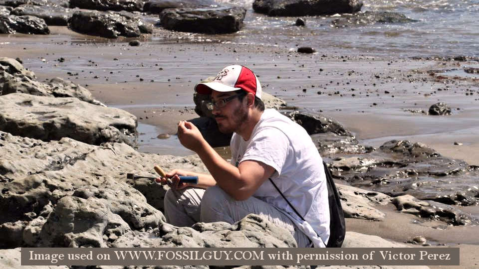 Victor Perez working a Pleistocene site in the Bahamas