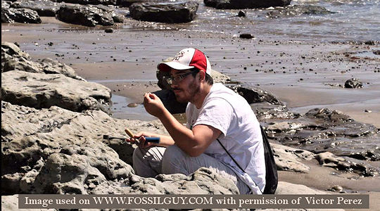 Interview with Paleontologist Victor Perez