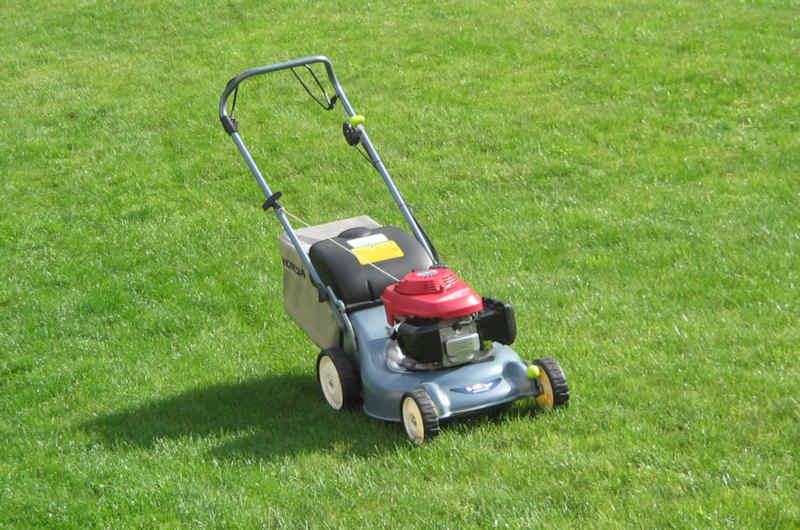 The American lawn is a uniquely American cultural concept, distinctly different from anything found in Europe.