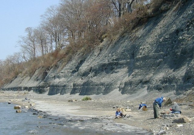 Fossil Hunting in an ancient Devonian coral reef. Fossils from Western New York are all from the Devonian.
 It all was once a shallow sea, teaming with trilobites.