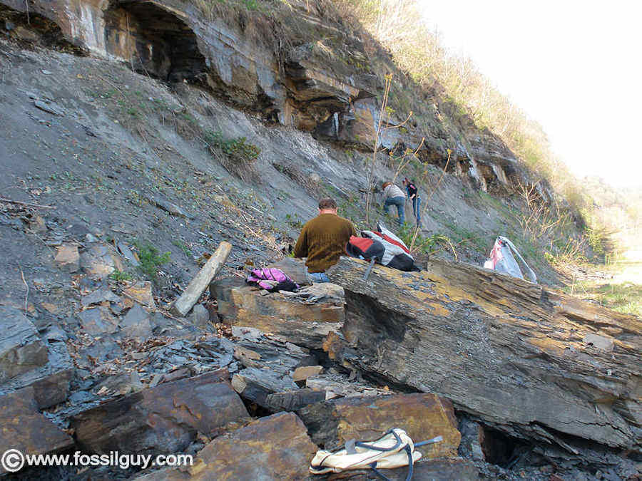 Ambridge Fossil Site