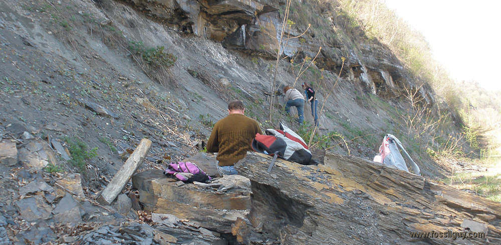 Fellow fossil hunters collecting at the Mahoning fossil fern layer near Ambridge, PA