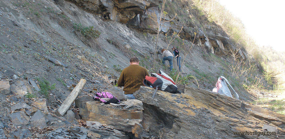 : Carboniferous Fossil Hunting Site Near Pittsburgh, PA