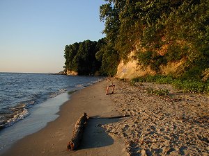 The morning sun illuminating the calvert cliffs at Brownies Beach