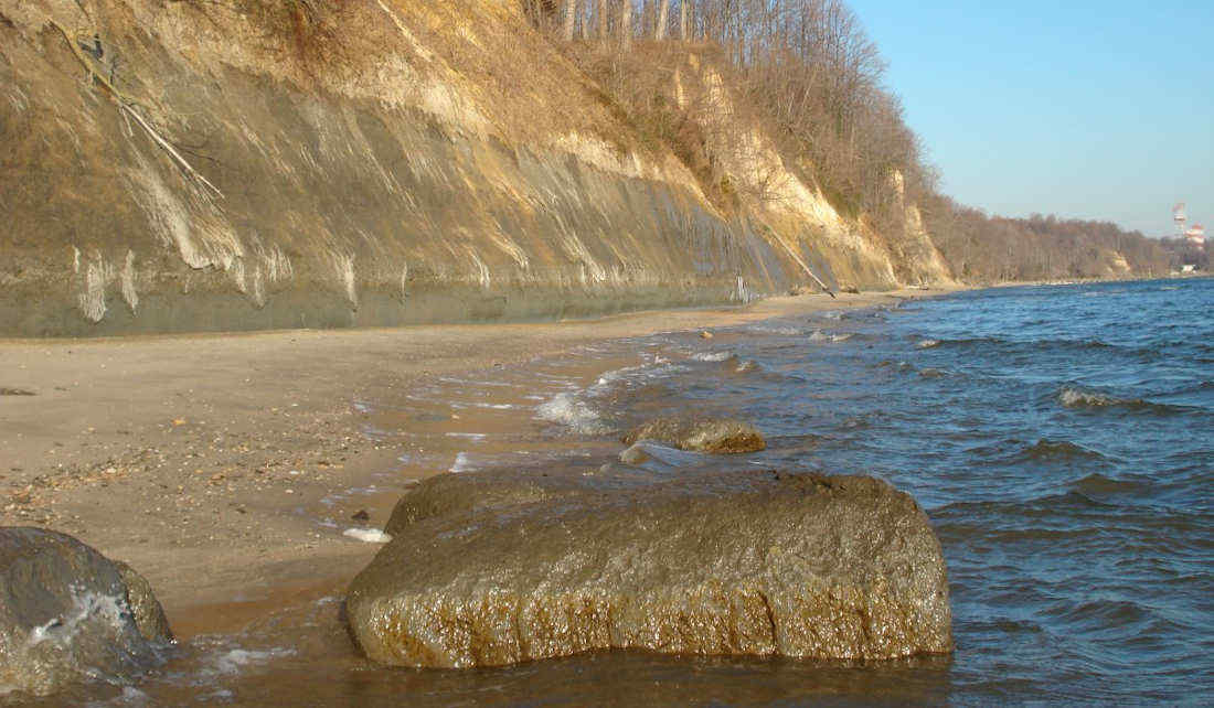 Guide to Fossil Hunting along the Calvert Cliffs of Maryland
