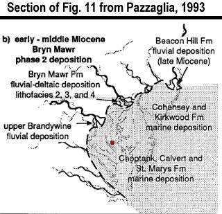 Diagram of the Salisbury Embayment during the middle Miocene - from Pazzaglia, 1993.
