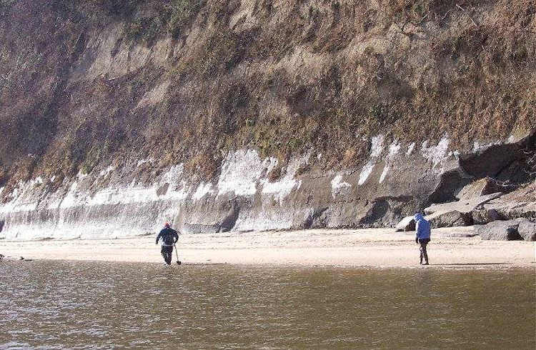 Fossil Hunting at the Calvert Cliffs in Winter