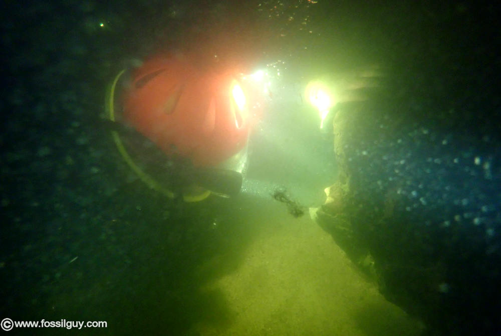 This is Ted at the bottom of the Cooper River looking under a tree for fossils. Visibility was remarkably good during this particular dive.
Notice the helmet and powerful dive lights.
