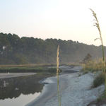 Fossil hunting in teh Lowcountry of South Carolina is a very enjoyable experience