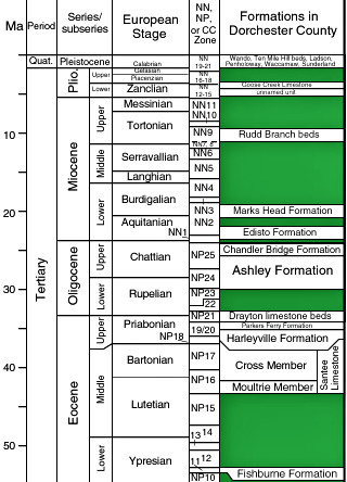 Stratiographic chart showing the various formations in Coastal South Carolina.