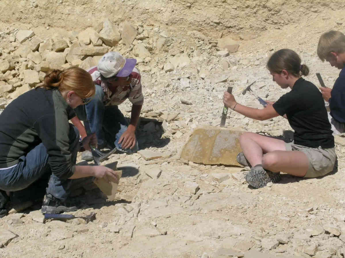 Green River Fossil Hunting - Fossilera Adventures