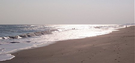 Emerald Isle shark tooth collecting