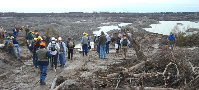 Fossil Hunting in the PCS mine in Aurora, NC