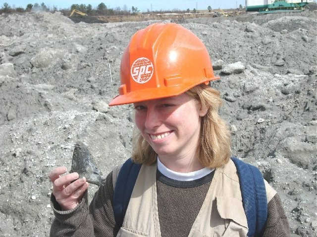 A find of the day, a 4 5/8 inch megalodon tooth. Don't mind the oversized hard hat!