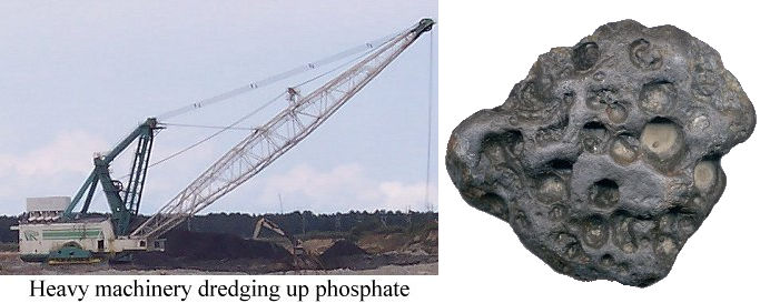 Mining for Phosphate and an image of a Phosphate pebble from the mine.