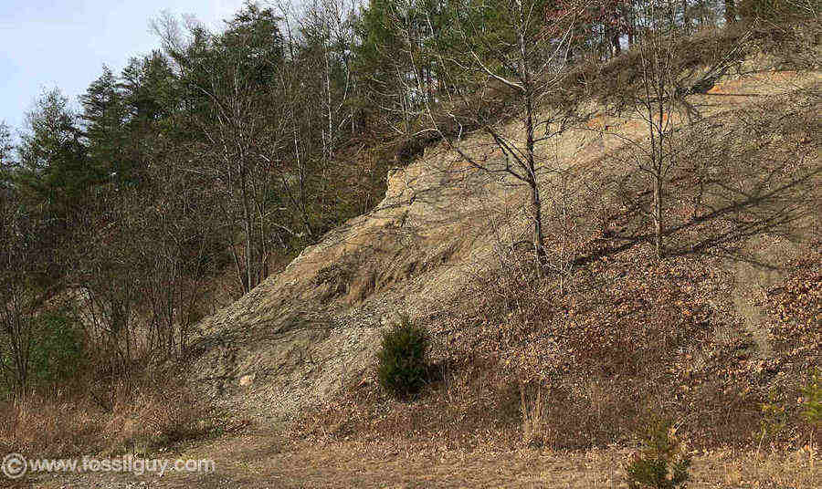 Lost River Fossil Hunting