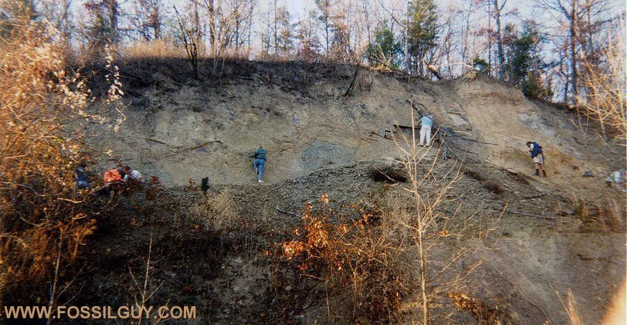 The Lost River Fossil Hunting Site in West Virginia