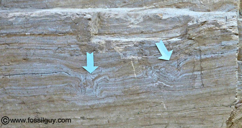 Mammoth footprint impressions in the walls