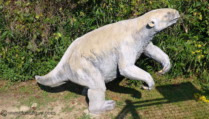 A life sized model of a Giant Ground Sloth - From Big Bone Lick, Kentucky.