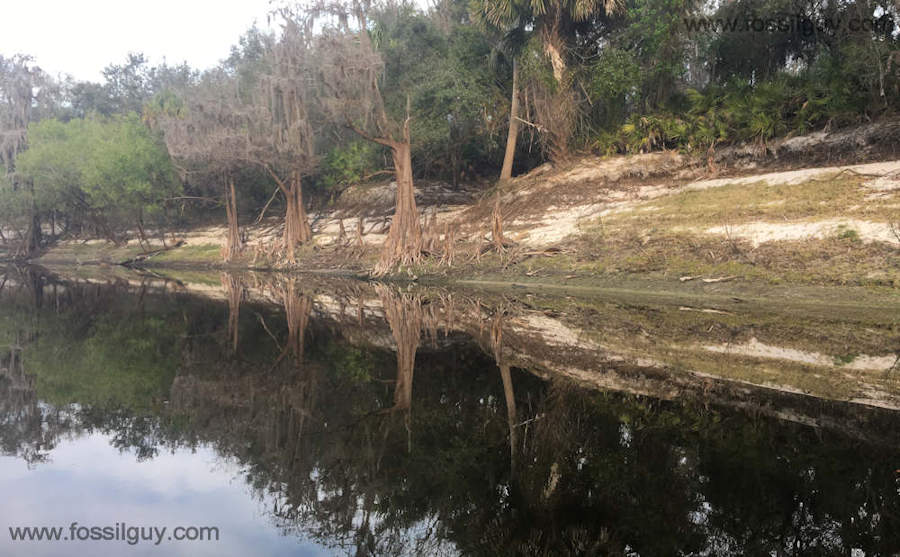 A view of the Peace River in Florida; a perfect spot to Fossil Hunt