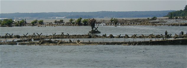Mallows bay ghost fleet - iron nails in the water line