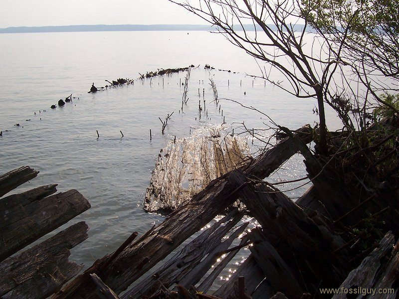 Mallows Bay Ghost Fleet