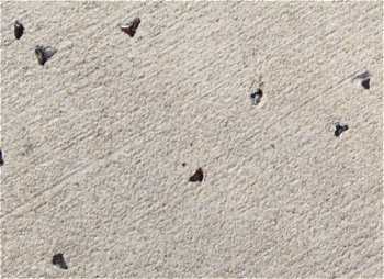 Manasota Beach, showing shark teeth embedded walkway