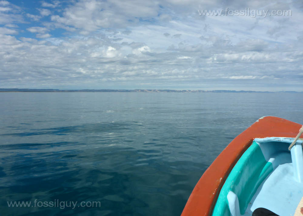 Motoring out to El Mogote, the sandbar area where the whale sharks congregate.