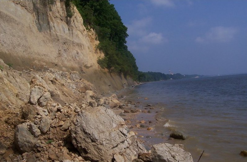 View of the Calvert Cliffs along the Chesapeake Bay.