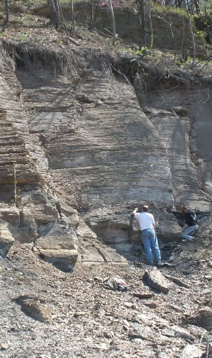 Here, everyone is fossil collecting in an outcropping of the Brush Creek Marine Zone.