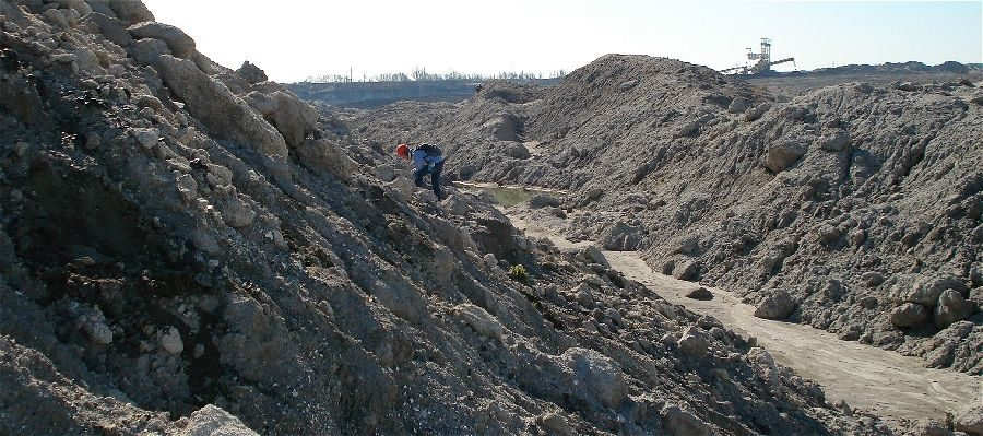 fossil hunting along a ridge