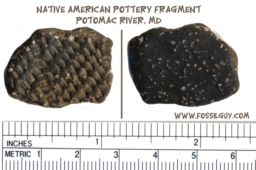 This is the Native American pottery fragment found along the banks of the Potomac River.  This fragment, although small, is interesting in that they mixed the clay with crushed quartz to strengthen
the pottery.  Usually they harden it with sand.