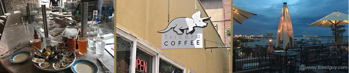 Charleston is known for great food and raw oysters!
  I found this little coffe shop, Tricera Coffee<, that
has a small Triceratops fossil on display (part of a leg bone?) and a bunch of little Triceratops dinosaurs
 to play with! Oh, and it has good coffee!