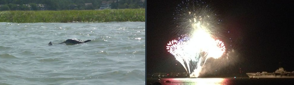 A baby dolphin with her mother and fireworks near the Yorktown at Charleston