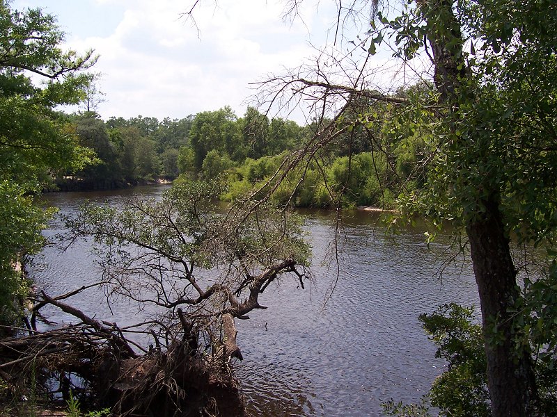This is the Edisto river.  This spot has a large gravel bed and the chandler bridge formation below.