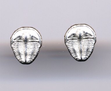 This is Amy's find of the trip.  A pair of Trilobite earings found in a Charleston shop. Cool!