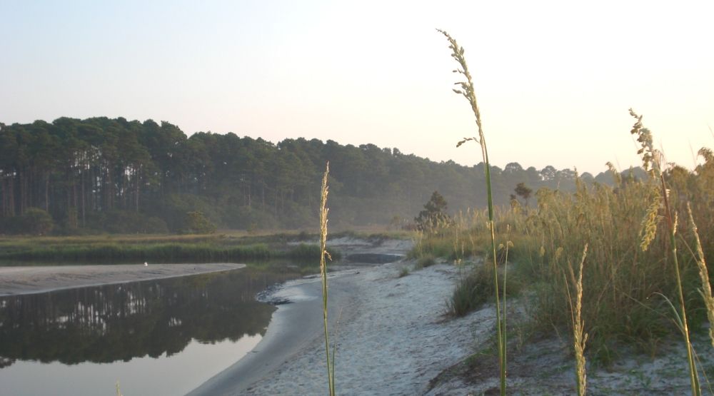The Lowcountry of South Carolina; a fossil hunters paradise